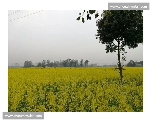 那不勒斯十月：时光的馈赠